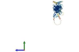 AlphaFold protein structure predicition of Mouse Recombinant Exoc6 Protein, UniprotID Q8R313