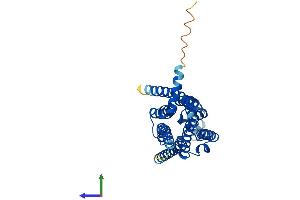 AlphaFold protein structure predicition of Human Recombinant ADORA3 Protein, UniprotID P0DMS8 (Adenosine A3 Receptor Protein (ADORA3) (AA 1-318) (His tag))