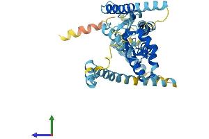 AlphaFold protein structure predicition of Mouse Recombinant Pex12 Protein, UniprotID Q8VC48 (PEX12 Protein (AA 1-359) (His tag))
