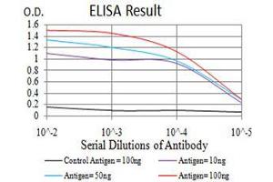 Black line: Control Antigen (100 ng),Purple line: Antigen (10 ng), Blue line: Antigen (50 ng), Red line:Antigen (100 ng) (AIM2 antibody  (AA 1-195))