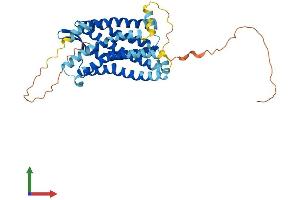 AlphaFold protein structure predicition of Human Recombinant CCR2 Protein, UniprotID P41597 (CCR2 Protein (AA 1-374) (His tag))