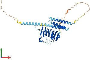 AlphaFold protein structure predicition of Mouse Recombinant Tbcc Protein, UniprotID Q8VCN9 (TBCC Protein (AA 1-341) (His tag))