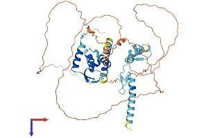 ZBTB43 Protein (AA 1-467) (His tag)