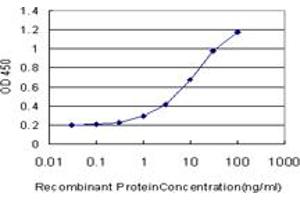 Detection limit for recombinant GST tagged RAD1 is approximately 0. (RAD1 antibody  (AA 1-90))