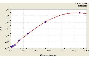 ELISA image for Complement Factor B (CFB) ELISA Kit (ABIN1114331) (Complement Factor B ELISA Kit)