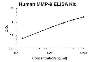Human MMP-9 PicoKine ELISA Kit standard curve (MMP 9 ELISA Kit)