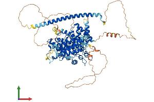 AlphaFold protein structure predicition of Human Recombinant GIT2 Protein, UniprotID Q14161
