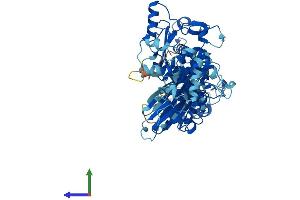 AlphaFold protein structure predicition of Human Recombinant CAPN9 Protein, UniprotID O14815