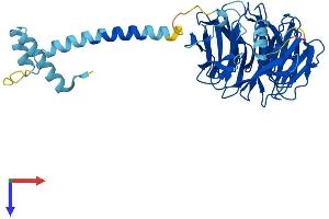 PAFAH1B1 Protein (AA 1-410) (His tag)