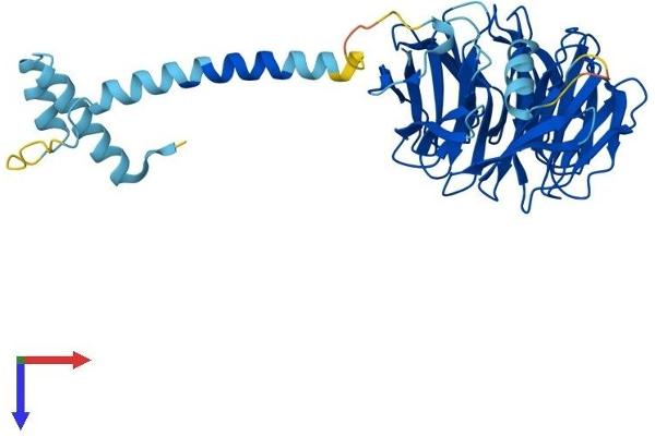 PAFAH1B1 Protein (AA 1-410) (His tag)