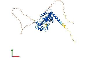 AlphaFold protein structure predicition of Human Recombinant MAGEB3 Protein, UniprotID O15480 (MAGEB3 Protein (AA 1-346) (His tag))