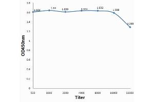 Antigen: BSA, 1ug/100ul, Primary:, 1:500, 1:1000, 1:2000, 1:4000, 1:8000, 1:16000, 1:32000, Secondary: HRP conjugated Goat Anti-Rabbit IgG at 1: 5000, TMB staining Read the data in MicroplateReader by 450nm. (BSA antibody)