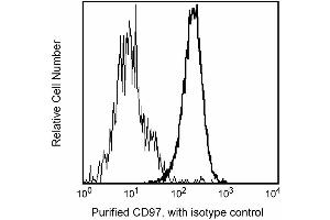 Profile of PHA-activated (dark line) and resting (light line) peripheral blood lymphocytes analyzed on a FACScan (BDIS, San Jose, CA) (CD97 antibody)