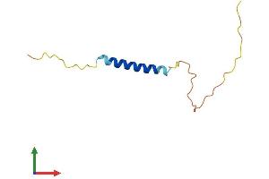 AlphaFold protein structure predicition of Mouse Recombinant Manbal Protein, UniprotID Q9D8X0 (MANBAL Protein (AA 1-85) (Fc Tag))