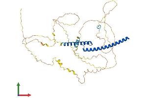 AlphaFold protein structure predicition of Mouse Recombinant Mycn Protein, UniprotID P03966