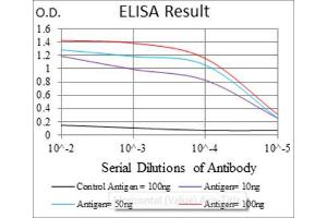 Red: Control Antigen (100ng) ; Purple: Antigen (10ng) ; Green: Antigen (50ng) ; Blue: Antigen (100ng). (ASS1 antibody)