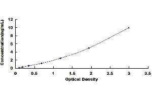 HIF3A ELISA Kit