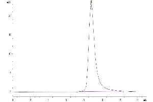 The purity of Mouse BTLA is greater than 95 % as determined by SEC-HPLC. (BTLA Protein (AA 30-176) (His tag))