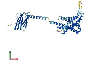 AlphaFold protein structure predicition of Mouse Recombinant Hacd3 Protein, UniprotID Q8K2C9