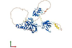 Protein Structure (PS) image for Transcription Factor CP2 (TFCP2) (AA 1-502) protein (His tag) (ABIN7555773)