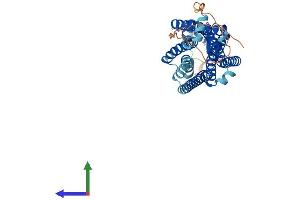 AlphaFold protein structure predicition of Human Recombinant NMUR1 Protein, UniprotID Q9HB89