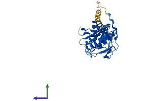 Protein Structure (PS) image for UDP-Gal:betaGlcNAc beta 1,4- Galactosyltransferase, Polypeptide 4 (B4GALT4) (AA 1-344) protein (His tag) (ABIN7561566)