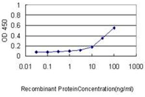 Detection limit for recombinant GST tagged ISG20 is approximately 0. (ISG20 antibody  (AA 1-181))