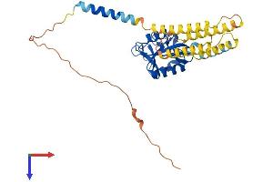 AlphaFold protein structure predicition of Mouse Recombinant Cd209b Protein, UniprotID Q8CJ91 (CD209b Antigen (CD209B) (AA 1-325) protein (His tag))