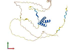 AlphaFold protein structure predicition of Human Recombinant DLX3 Protein, UniprotID O60479 (DLX3 Protein (AA 1-287) (His tag))