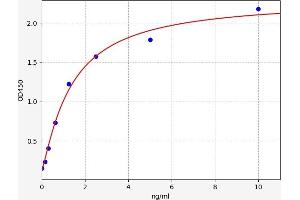 Sestrin 2 ELISA Kit