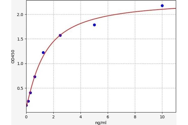 Sestrin 2 ELISA Kit