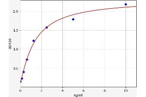 Typical standard curve (Sestrin 2 ELISA Kit)