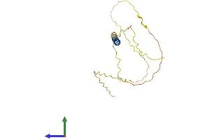 AlphaFold protein structure predicition of Mouse Recombinant Gypa Protein, UniprotID P14220 (CD235a/GYPA Protein (AA 1-168) (His tag))