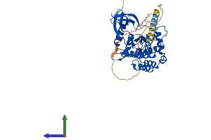 Protein Structure (PS) image for Casein Kinase 1, delta (CSNK1D) (AA 1-415) protein (His tag) (ABIN7565015)