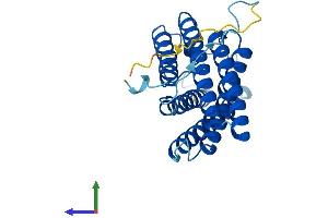 AlphaFold protein structure predicition of Human Recombinant DRAM2 Protein, UniprotID Q6UX65