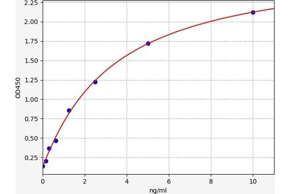 VIPR2 ELISA Kit