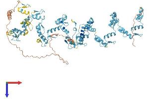 AlphaFold protein structure predicition of Human Recombinant ZNF43 Protein, UniprotID P17038