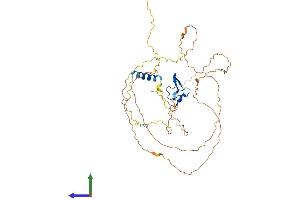 AlphaFold protein structure predicition of Human Recombinant C12orf50 Protein, UniprotID Q8NA57 (C12ORF50 Protein (AA 1-414) (His tag))