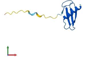 AlphaFold protein structure predicition of Mouse Recombinant Elof1 Protein, UniprotID P60003