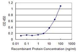 Detection limit for recombinant GST tagged SGCA is 1 ng/ml as a capture antibody. (SGCA antibody  (AA 26-133))