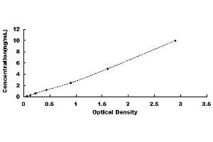 Typical standard curve (SMAD2 ELISA Kit)