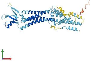 AlphaFold protein structure predicition of Mouse Recombinant Panx3 Protein, UniprotID Q8CEG0