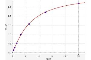 CENPB ELISA Kit
