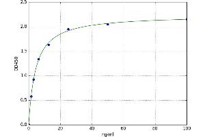Vitronectin (VTN) ELISA Kit