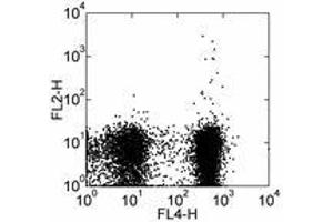 Image no. 2 for anti-Signaling Lymphocytic Activation Molecule Family Member 1 (SLAMF1) antibody (Biotin) (ABIN475810)