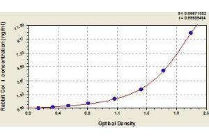 Collagen, Type I (COL1) ELISA Kit