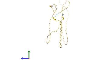 AlphaFold protein structure predicition of Mouse Recombinant Mdfi Protein, UniprotID P70331 (MDFI Protein (AA 1-251) (His tag))