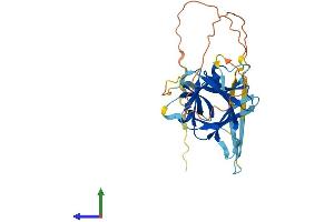 AlphaFold protein structure predicition of Mouse Recombinant Il33 Protein, UniprotID Q8BVZ5 (IL-33 Protein (AA 1-266) (His tag))