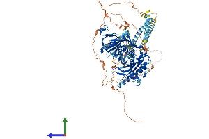 AlphaFold protein structure predicition of Mouse Recombinant Osbpl3 Protein, UniprotID Q9DBS9