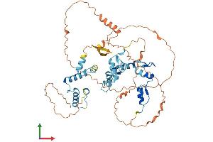AlphaFold protein structure predicition of Human Recombinant ZSCAN5A Protein, UniprotID Q9BUG6 (ZSCAN5A Protein (AA 1-496) (His tag))